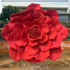 Red Rose 8 Feet