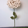 Beige Foam Rose