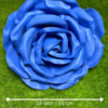 Blue Foam Rose