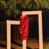 Crimson Cascade Backdrop