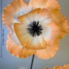 Orange Poppy 3 Feet