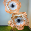 Orange Poppy 3 Feet