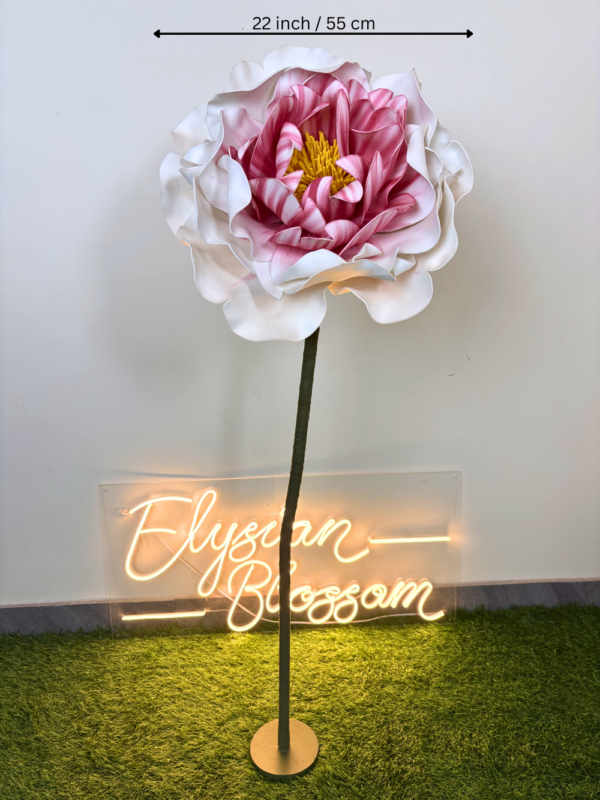 Foam Peony