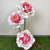 Foam Peony