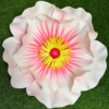 Pink Foam Poppy