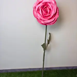 Pink Foam Rose