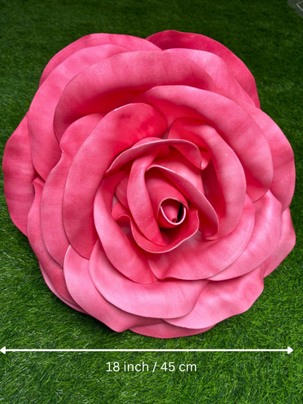 Pink Foam Rose