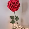 Red Foam Rose