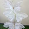 White Fabric Butterfly