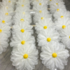 White Fabric Daisy