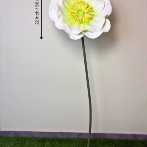White Whisper Poppy