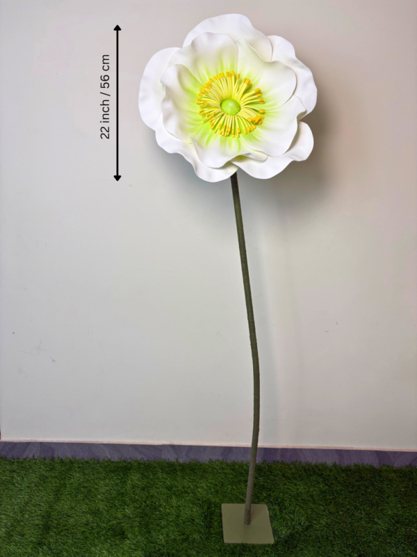 White Whisper Poppy