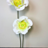 White Whisper Poppy