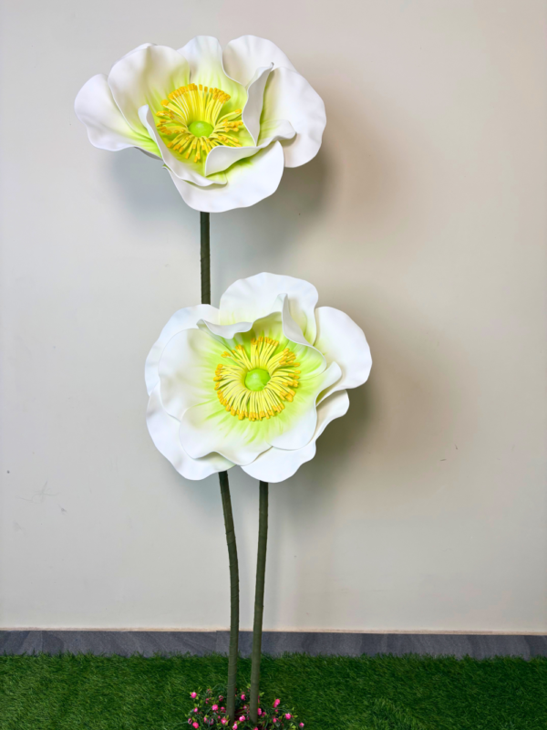 White Whisper Poppy
