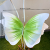 White with Green Foam Butterfly