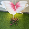 White With Pink Foam Butterfly