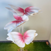 White With Pink Foam Butterfly