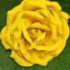 Yellow Foam Rose (without Stand)