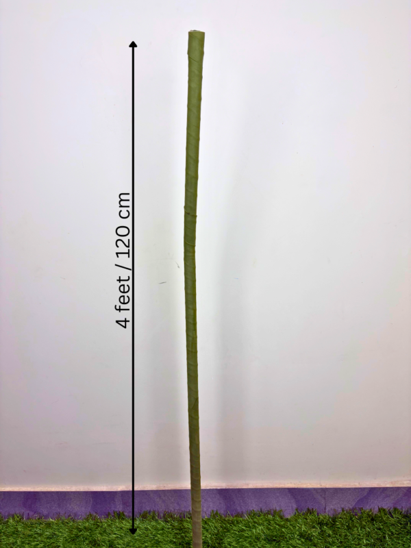 Giant Flowers Stem