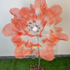 White With Orange Organza Poppy