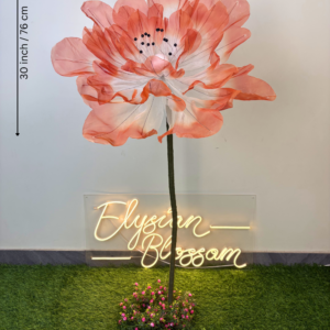 White With Orange Organza Poppy