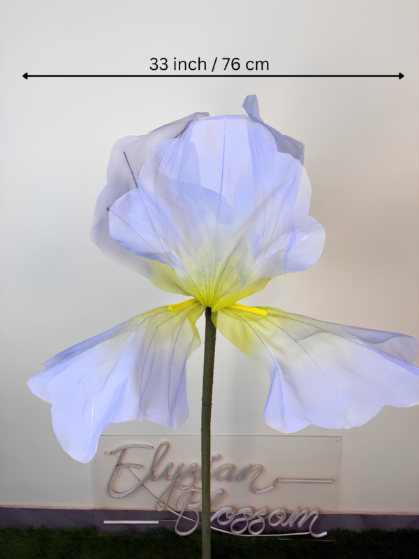 Giant Organza Lavender Iris